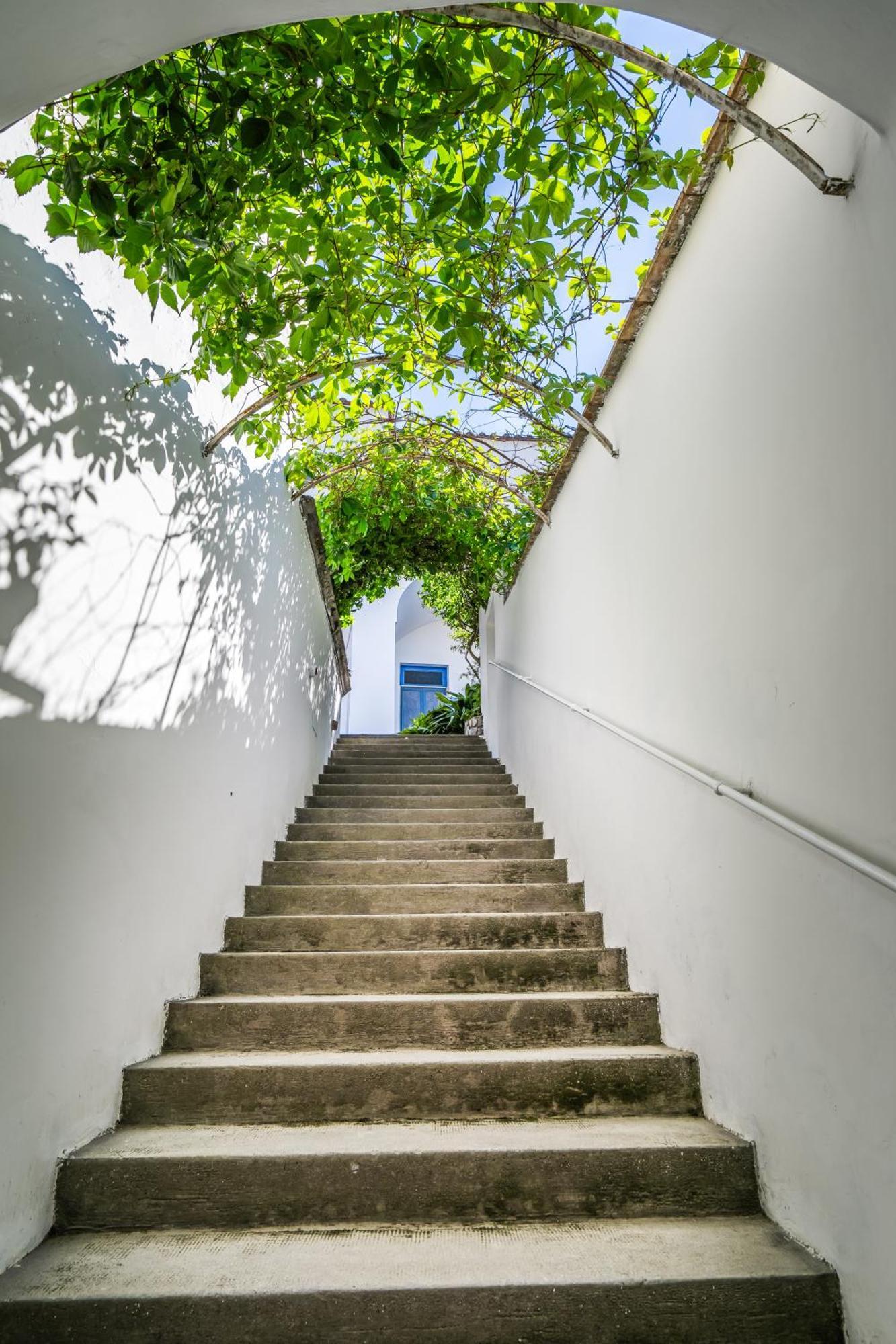 Villa Azzurra 维克艾库塞 外观 照片